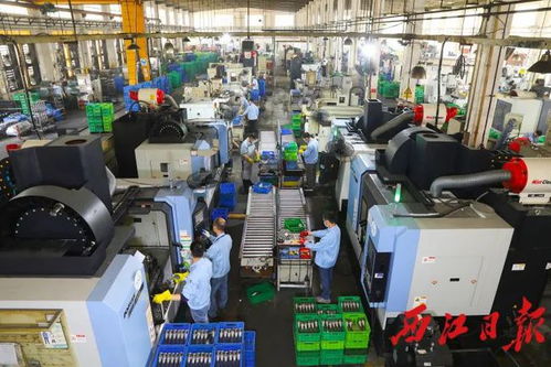 肇慶企業(yè)投資3.6億元建設7萬平米新廠，區(qū)域經濟迎來新動力